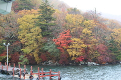雨の中禅寺湖
