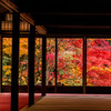燃ゆる紅葉