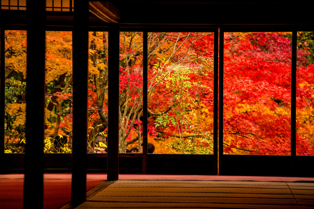 京の景色