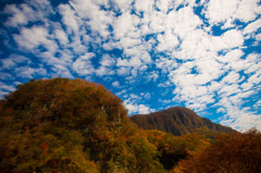 秋の山