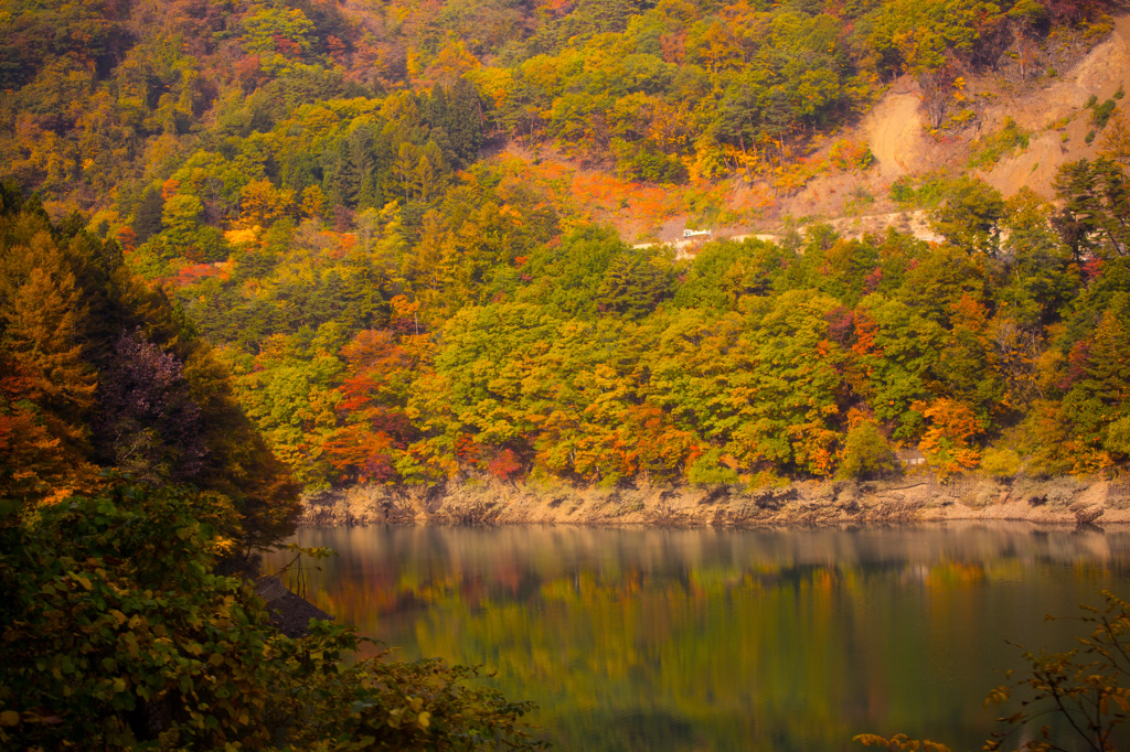 color of autumn