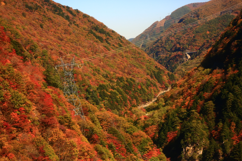 晩秋を感じる