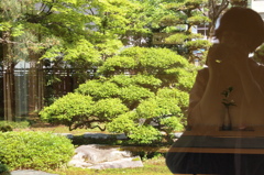 新緑ぴかぴか