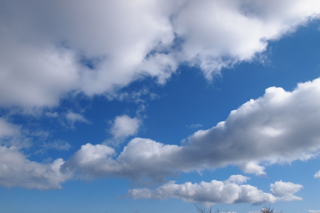 雲