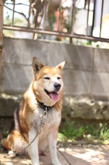 相棒