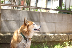 相棒２