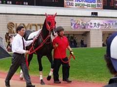 DSC00317