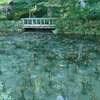 モネの池