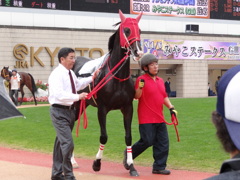 DSC00319