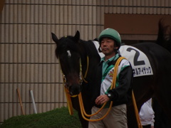 DSC00301
