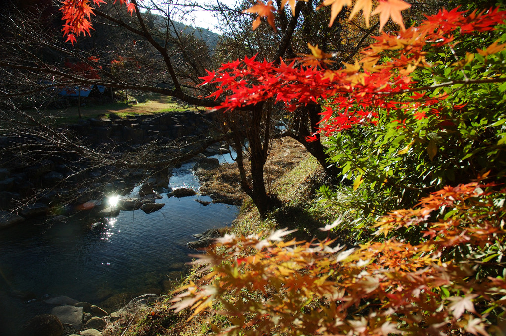 島田市親水公園