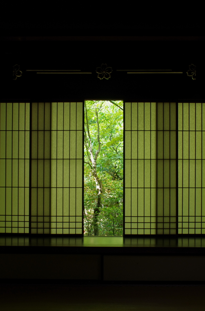 高桐院　～緑光～
