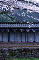 廃寺の春