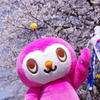 未知との遭遇