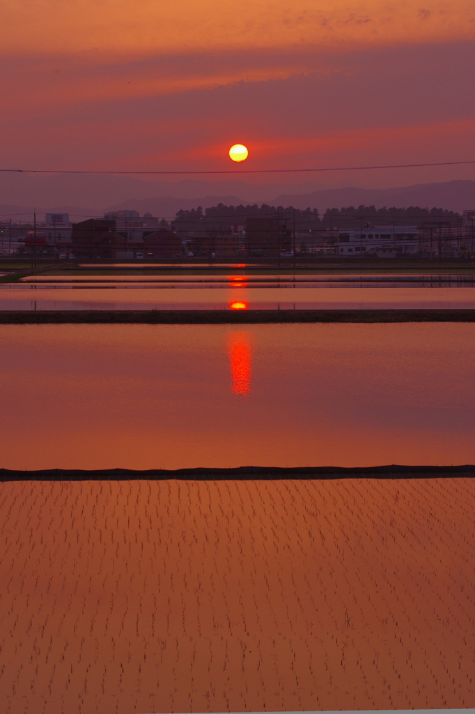 夕暮れ