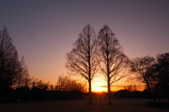 夕影・・・