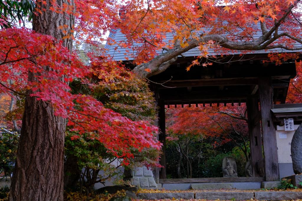 曛静山薬王寺