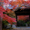 曛静山薬王寺
