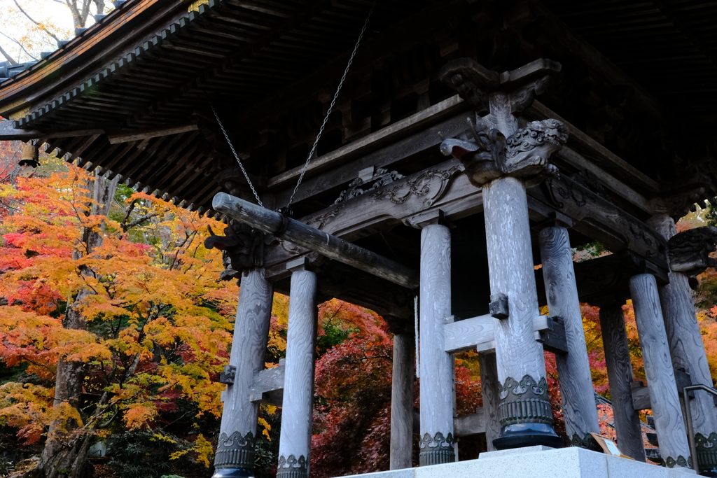 もみじ寺・・