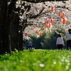 季節・・ 何を見つける。