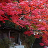 日本の・・・四季