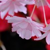 感じる・・・やさしさ