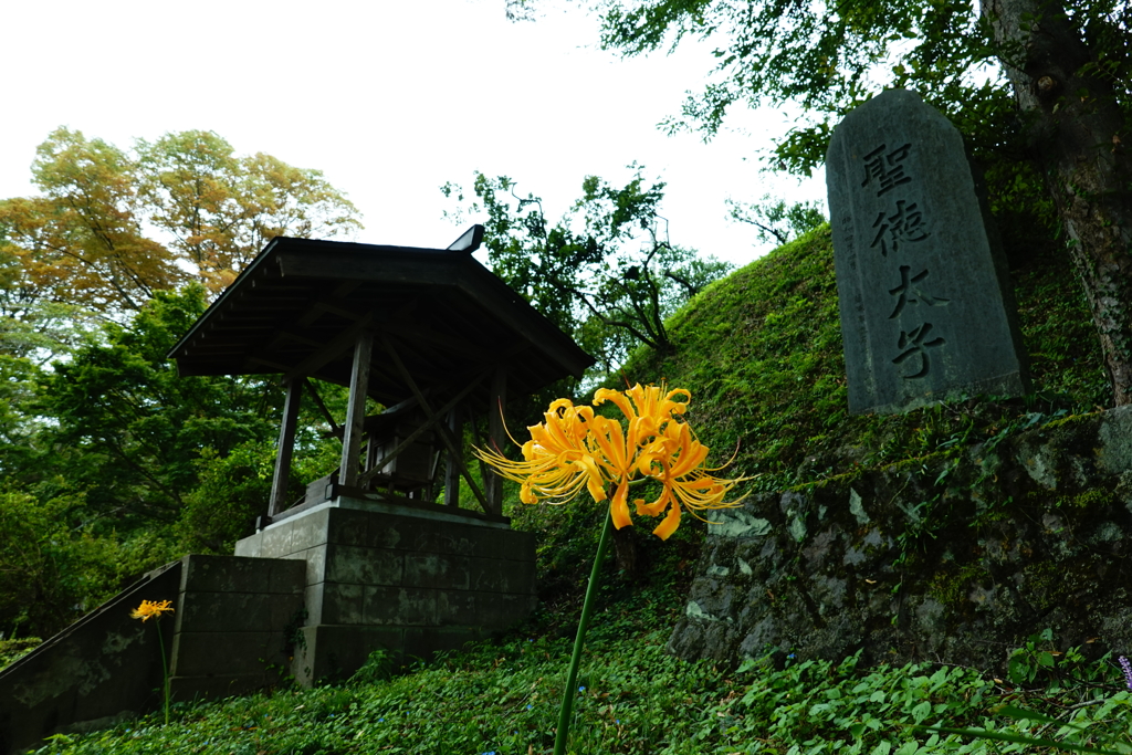 深い思いやり・・・