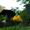 深い思いやり・・・