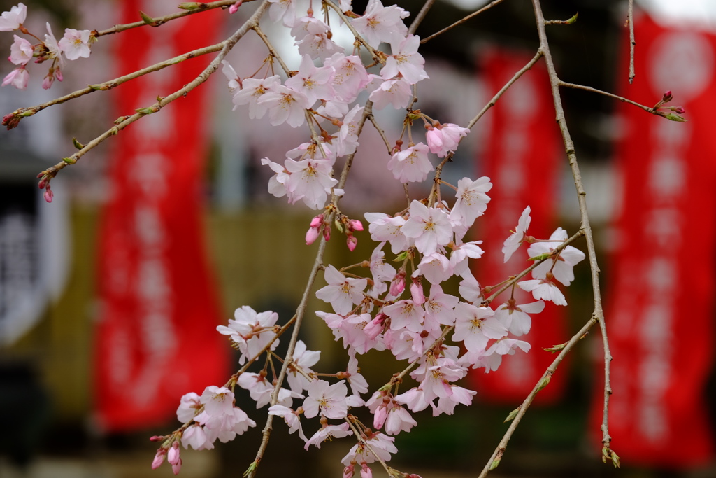 六地蔵寺・・・