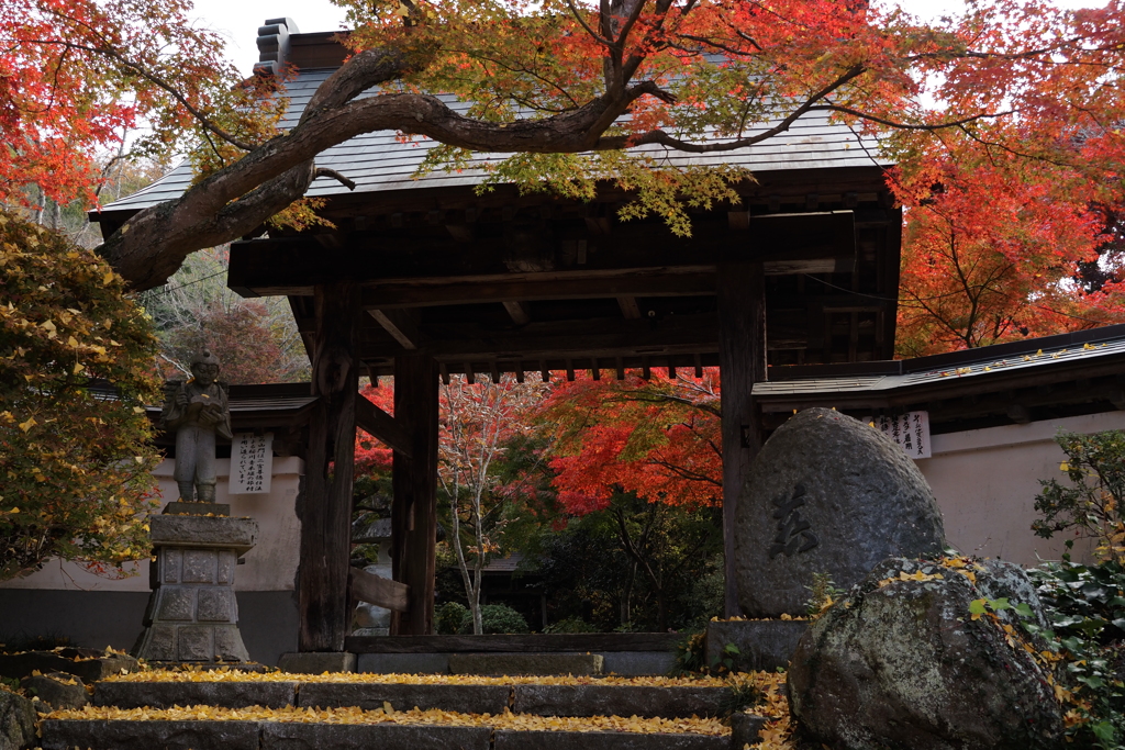 ・・もみじ寺