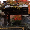 ・・もみじ寺