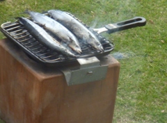 秋刀魚の網焼きです