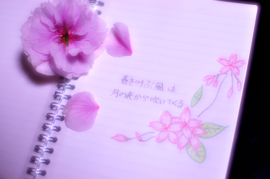 春の風