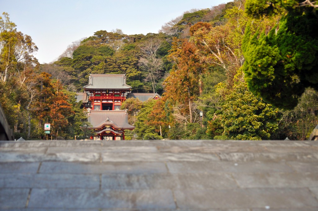 鶴岡八幡宮