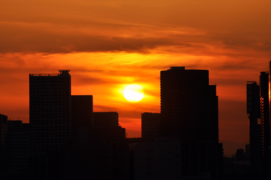 The sunset