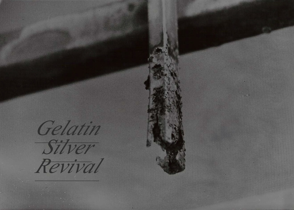 Gelatin Silver Revival.