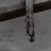 Gelatin Silver Revival.