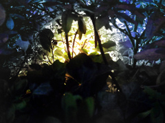 2012.12.3