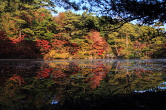 神戸市立森林植物園 長谷池
