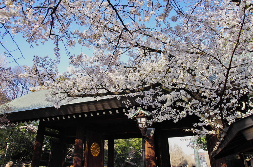 靖国神社