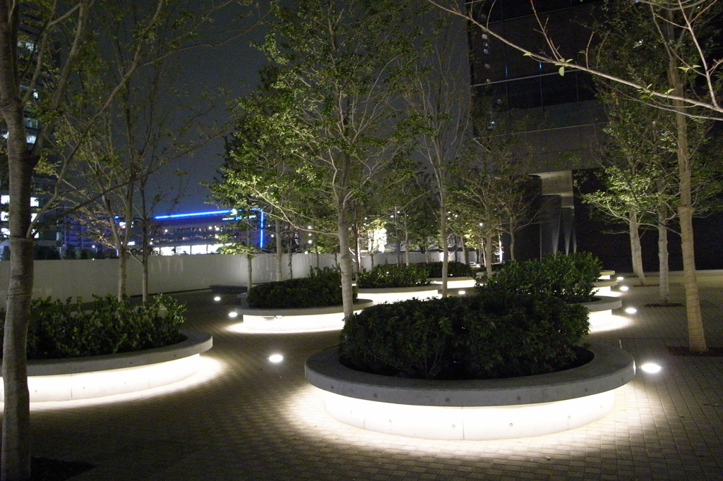 夜の広場