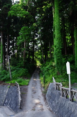 慈恩寺  トトロの森入口