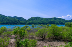 宮城県　大倉ダム