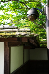 鶴ヶ城の茶室