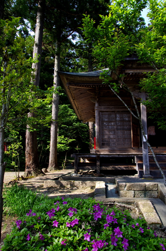 慈恩寺  薬師堂