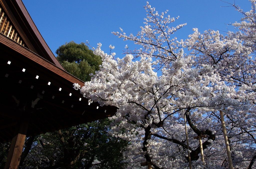 靖国神社