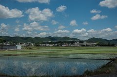 田に植えた青空