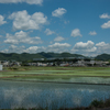 田に植えた青空