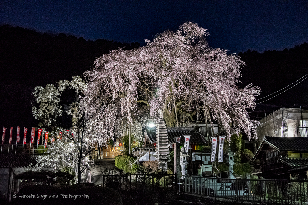 曹洞宗八幡山林陽寺2021