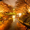 新境川の夜桜見物（2013春のお気に入り②）
